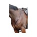 Hunting Breastplate Hunting Breastplate